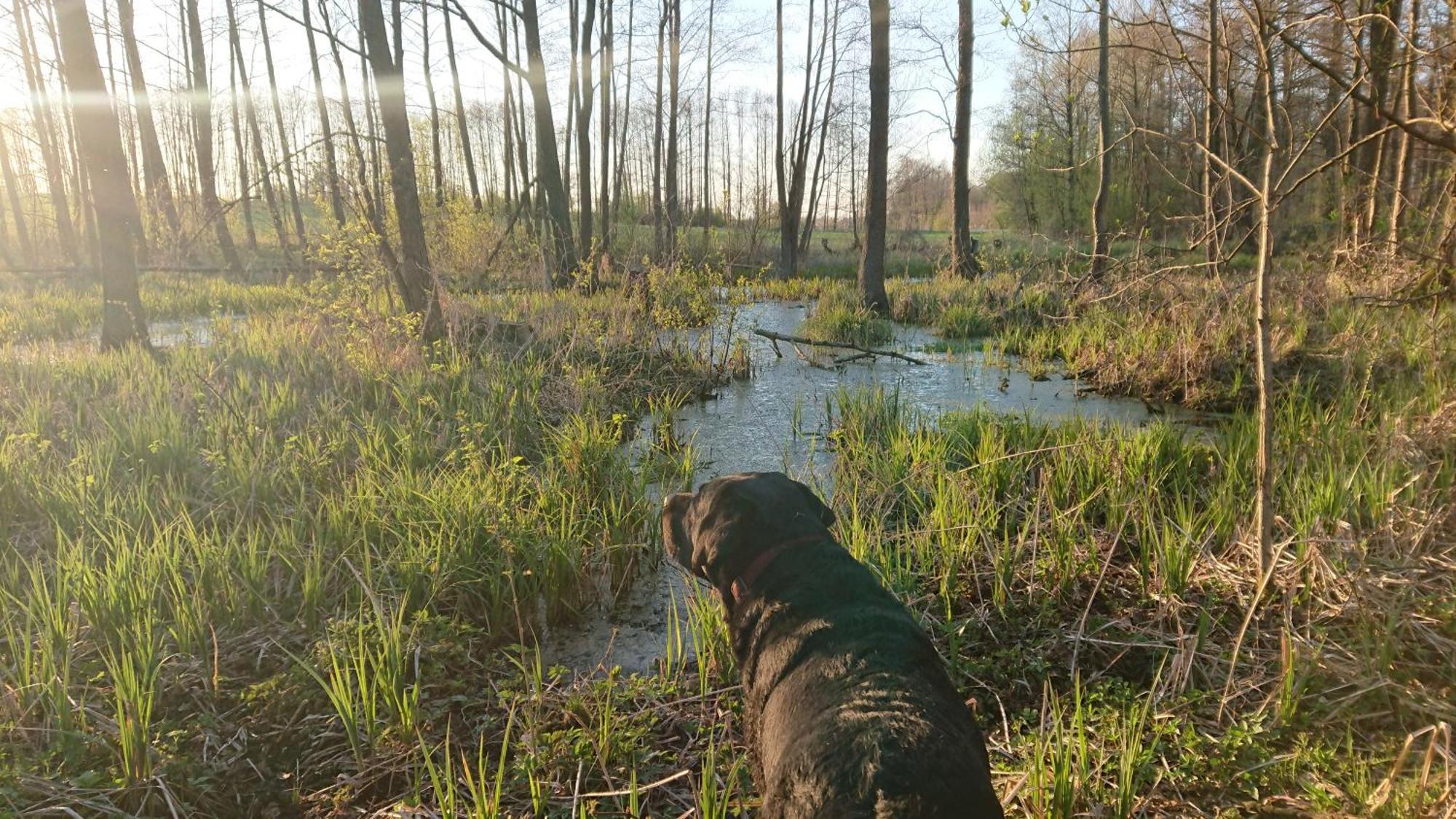 Willa Bobrowa Dolina Wojtostwo  Zewnętrze zdjęcie