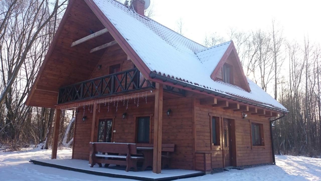 Willa Bobrowa Dolina Wojtostwo  Zewnętrze zdjęcie